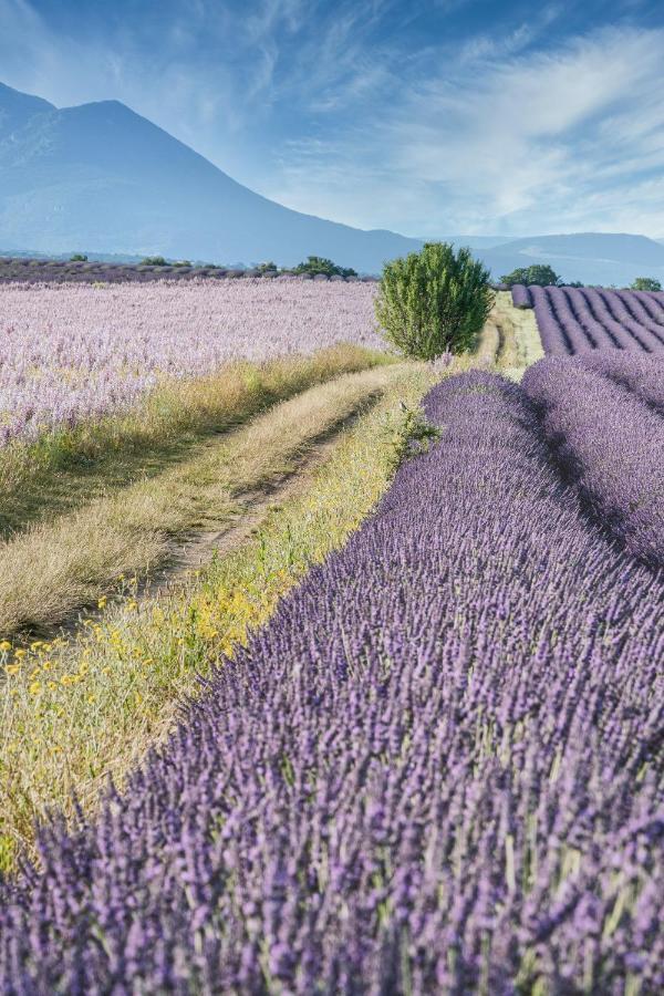 Gite Le Val Zen Valaurie - Drome Provencale ภายนอก รูปภาพ